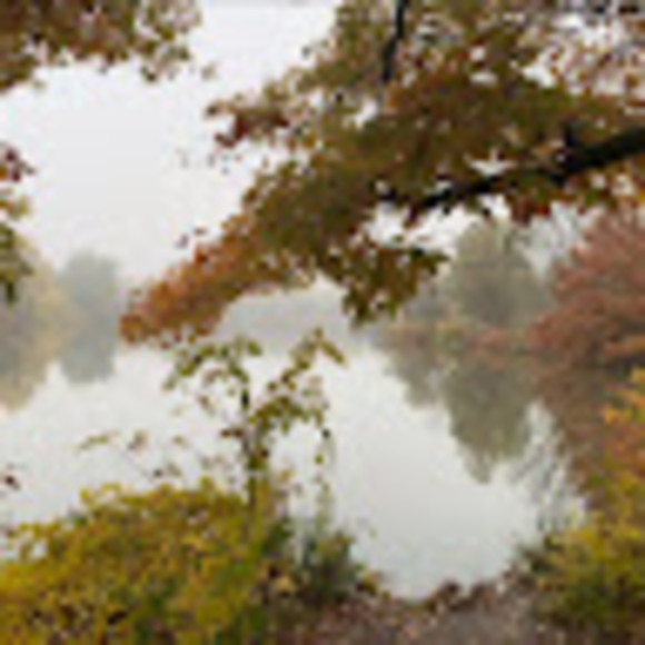 Meet your Posher, Annalisa - Picture 1 of 1